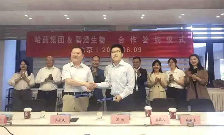 哈藥攜手清華大學，強強聯合共創(chuàng)膠原蛋白行業未來